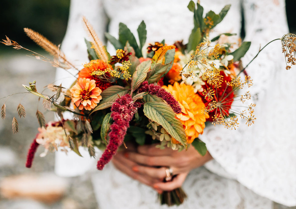 stem & vine stem & vine